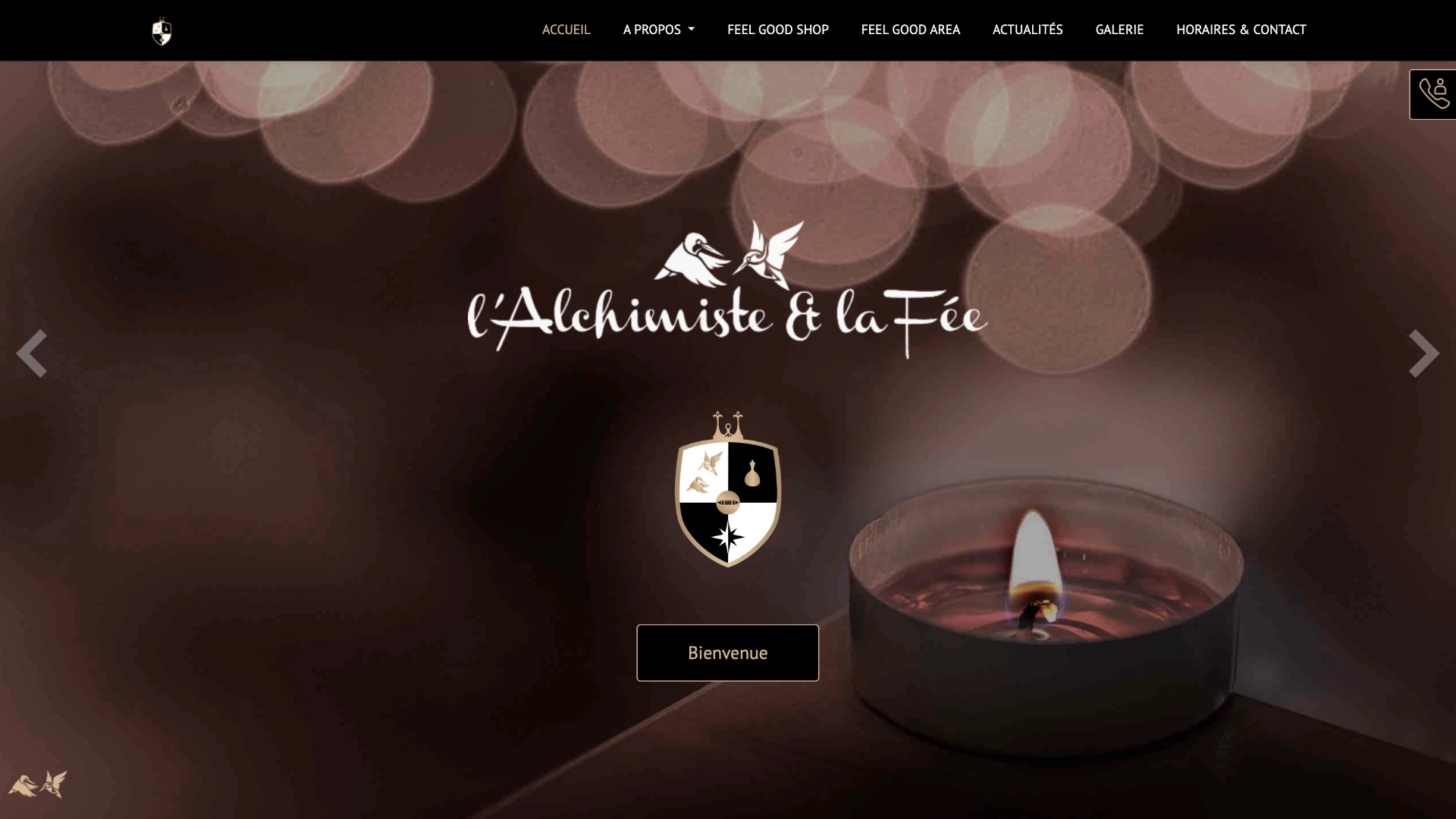 alchimiste et la fée